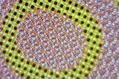 Kiwo SWR Red - 200 yellow mesh